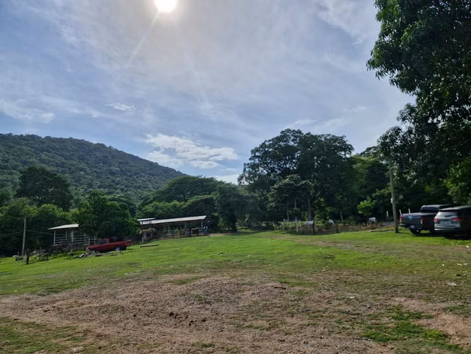  ¡FINCA EN VENTA EN SAN MANUEL, CORTÉS!  - Imagen 2
