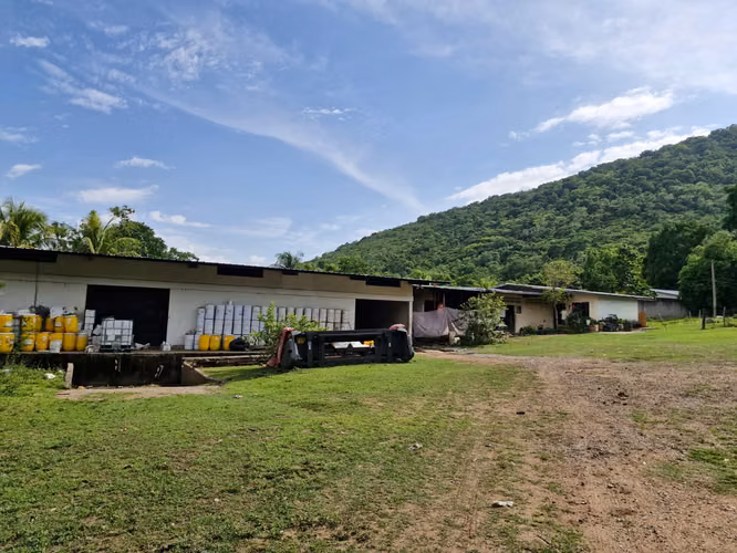  ¡FINCA EN VENTA EN SAN MANUEL, CORTÉS!  - Imagen 4