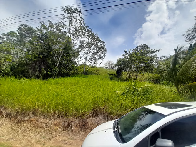 Lote en venta en Res. Quinta Los Laureles 