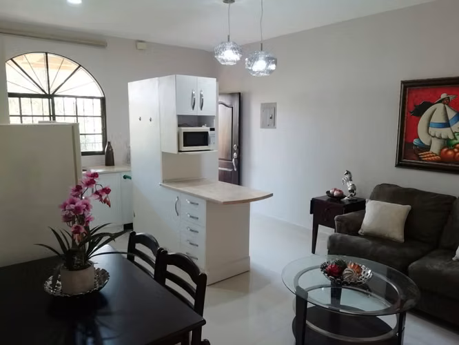 En renta apartamento amueblado de 1 habitacion - Imagen 3