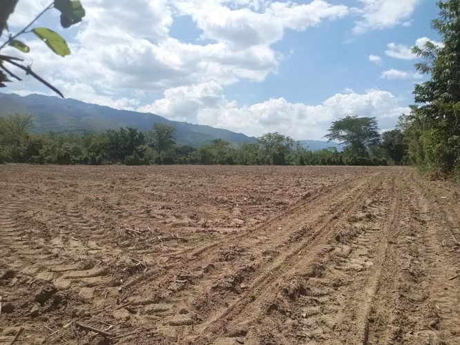  ¡EXCELENTE PROPIEDAD EN VENTA – EL NEGRITO, YORO! 