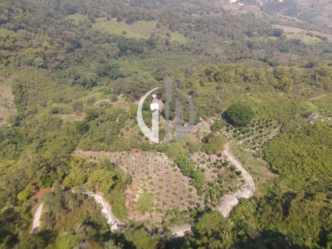 Se Vende Terreno en Santa Bárbara - Imagen 3