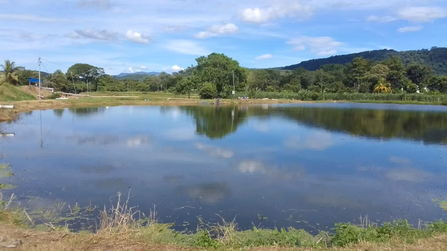  ¡PROYECTO ACUÍCOLA EN VENTA – SANTA CRUZ DE YOJOA, CORTÉS! 