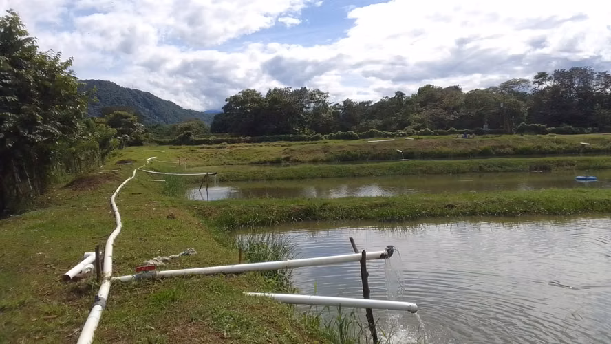  ¡PROYECTO ACUÍCOLA EN VENTA – SANTA CRUZ DE YOJOA, CORTÉS! 