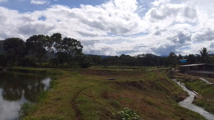  ¡PROYECTO ACUÍCOLA EN VENTA – SANTA CRUZ DE YOJOA, CORTÉS! 