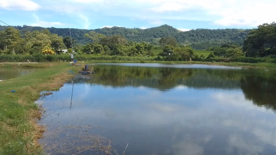  ¡PROYECTO ACUÍCOLA EN VENTA – SANTA CRUZ DE YOJOA, CORTÉS! 