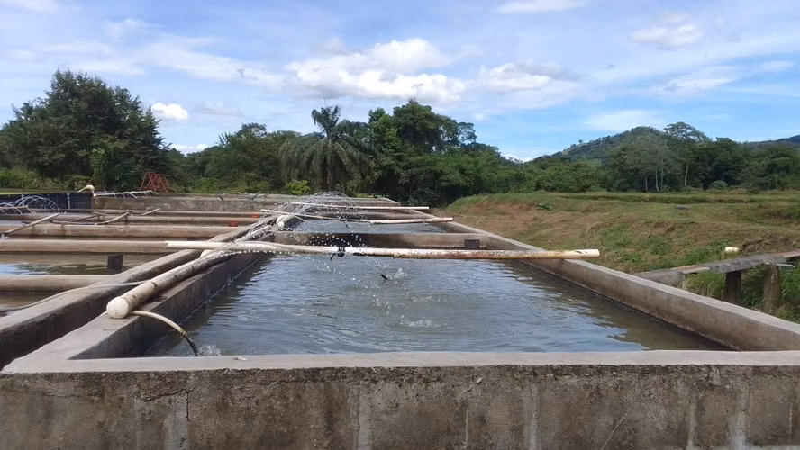  ¡PROYECTO ACUÍCOLA EN VENTA – SANTA CRUZ DE YOJOA, CORTÉS! 