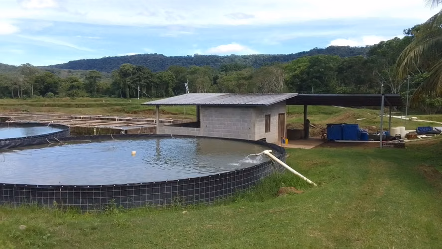  ¡PROYECTO ACUÍCOLA EN VENTA – SANTA CRUZ DE YOJOA, CORTÉS! 