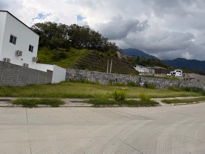 Venta 