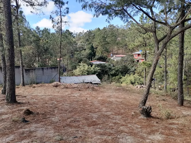  Terreno en Venta | Zona 3 Rosas Valle de Ángeles | 1,647 Vr2 - Imagen 5