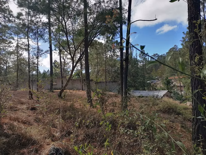  Terreno en Venta | Zona 3 Rosas Valle de Ángeles | 1,647 Vr2 - Imagen 4