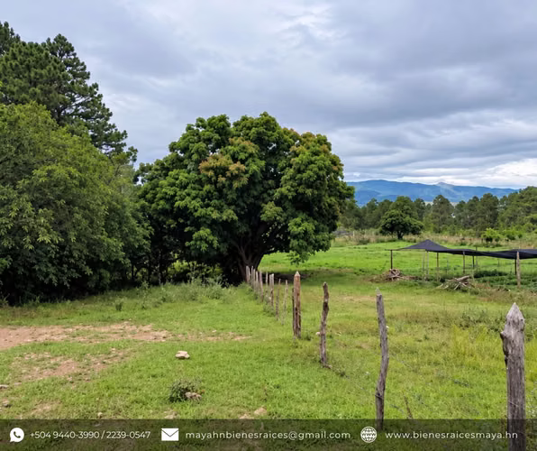 ¡SE VENDE AMPLIO TERRENO EN EL AMATILLO, FRANCISCO MORAZÁN! - Imagen 9