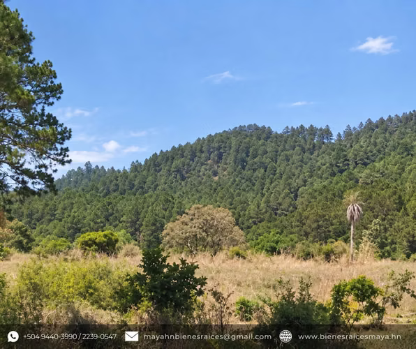 ¡SE VENDE AMPLIO TERRENO EN EL AMATILLO, FRANCISCO MORAZÁN! - Imagen 4