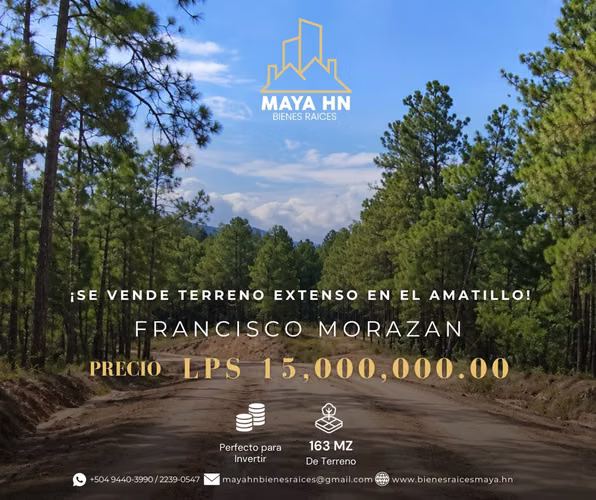 IT IS SOLD WIDE GROUND IN THE AMATILLO, FRANCISCO MORAZÁN!