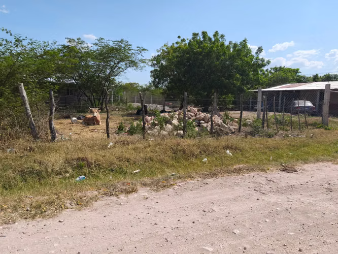 Poco negociable hasta 360mil lempiras.