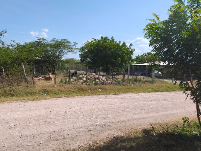Poco negociable hasta 360mil lempiras.