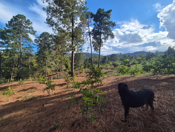 Se Vende Hermoso Terreno en Tamara