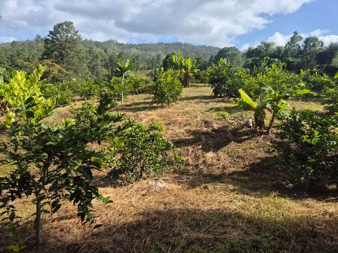 Se Vende Hermoso Terreno en Tamara