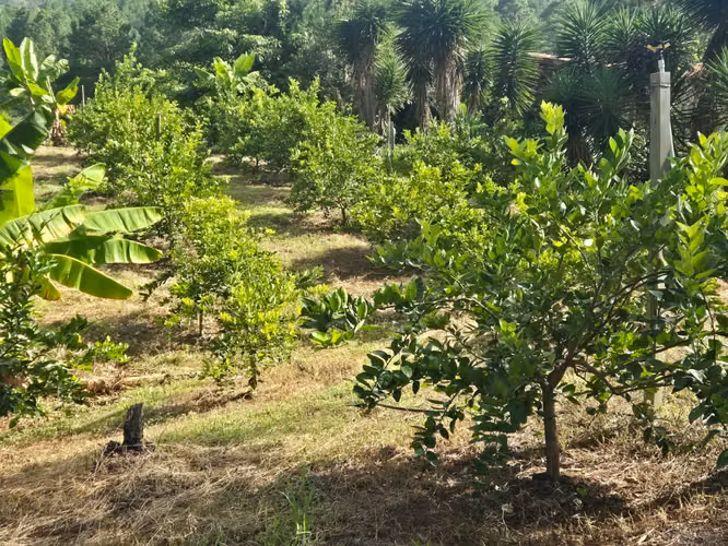 Se Vende Hermoso Terreno en Tamara
