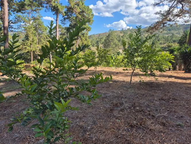 Se Vende Hermoso Terreno en Tamara