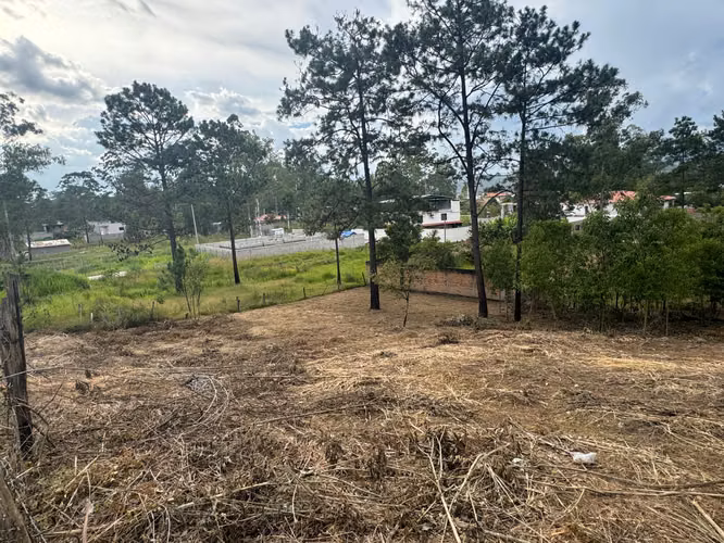 Venta de Propiedad en Monte Pinar// Siguatepeque - Imagen 3