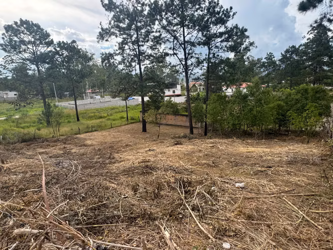 Venta de Propiedad en Monte Pinar// Siguatepeque - Imagen 2