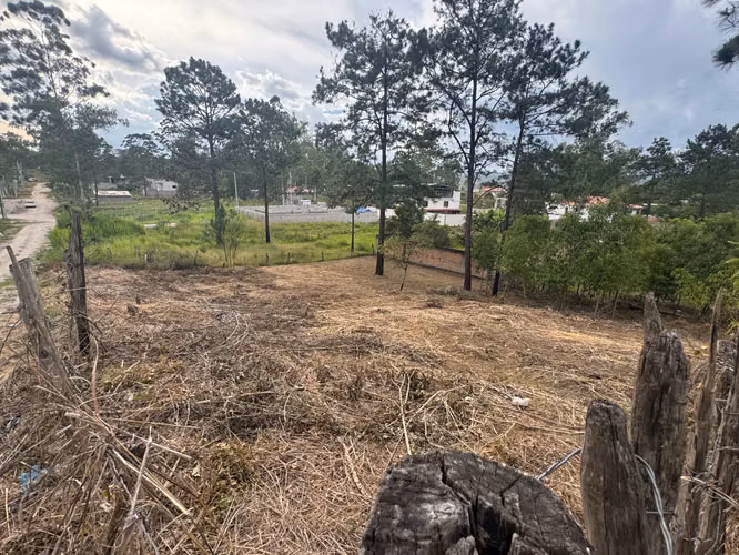 Venta de Propiedad en Monte Pinar// Siguatepeque - Imagen 4
