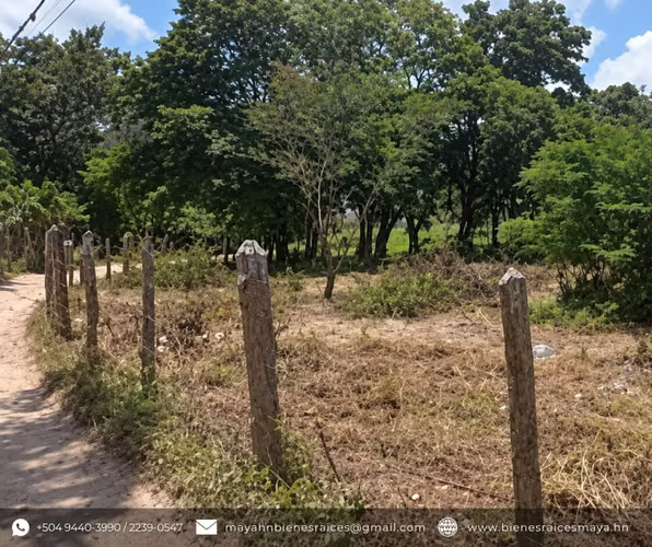 ¡Se vende terreno en Cofradía, Francisco Morazán! - Imagen 3