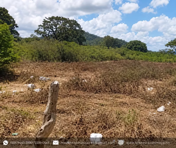 ¡Se vende terreno en Cofradía, Francisco Morazán! - Imagen 5