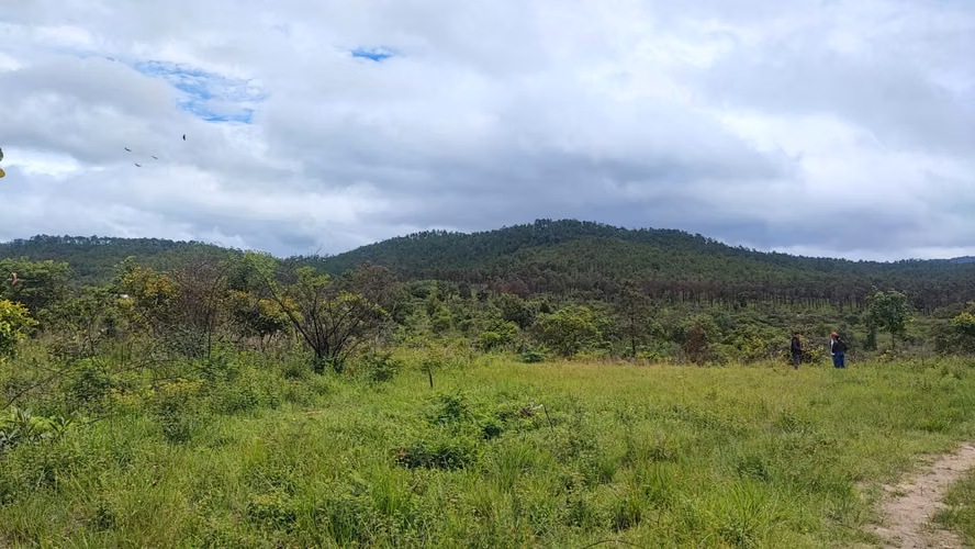 Lotes de terreno para vivienda en Ilamapa, carretera a Olancho - Imagen 3