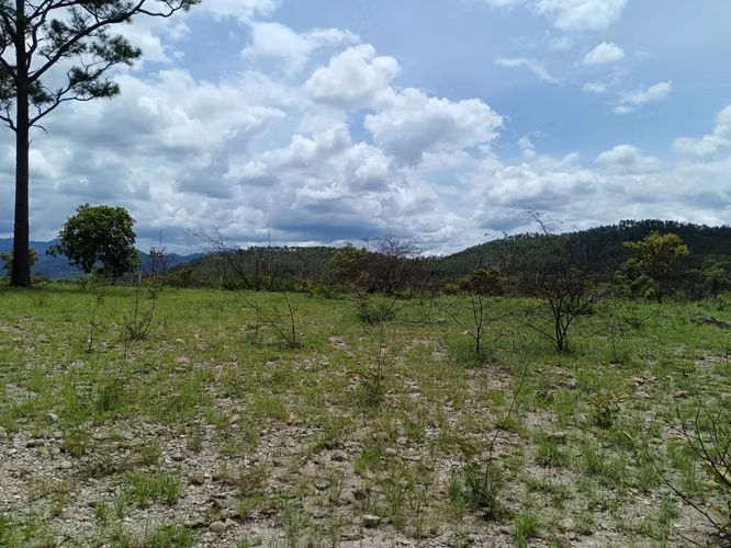 Lotes de terreno para vivienda en Ilamapa, carretera a Olancho - Imagen 4