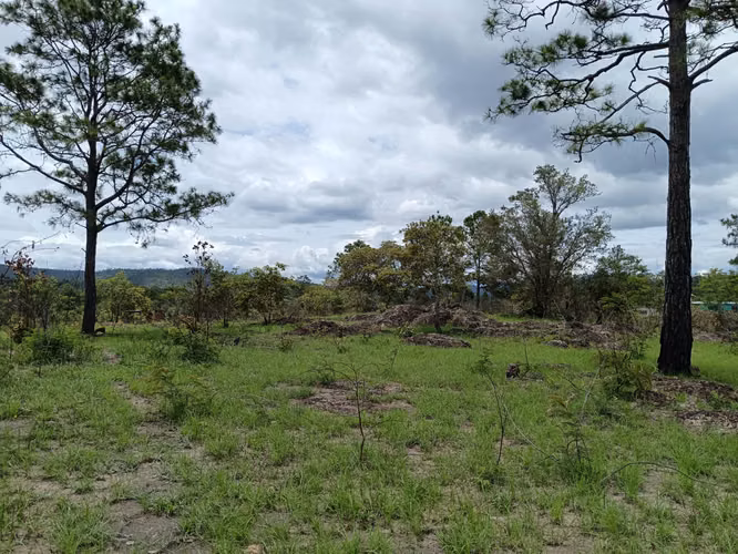 Lotes de terreno para vivienda en Ilamapa, carretera a Olancho - Imagen 6