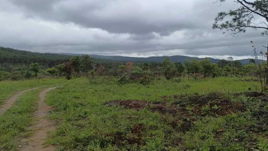 Lotes de terreno para vivienda en Ilamapa, carretera a Olancho - Imagen 5