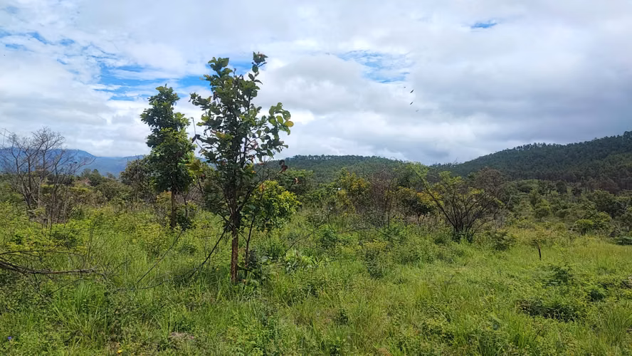 Lotes de terreno para vivienda en Ilamapa, carretera a Olancho - Imagen 2