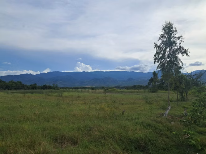  ¡PROPIEDAD EN VENTA – PLAYITAS, COMAYAGUA!  - Imagen 2