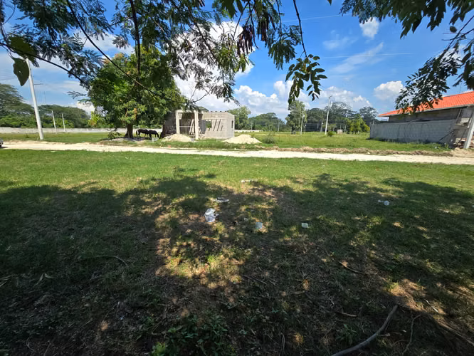  ¡LOTE DE TERRENO EN VENTA – LA CANDELARIA, CHOLOMA!  - Imagen 3