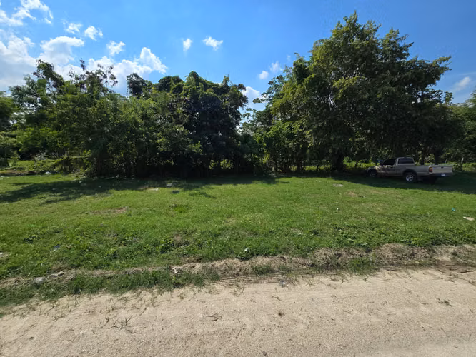  ¡LOTE DE TERRENO EN VENTA – LA CANDELARIA, CHOLOMA!  - Imagen 5