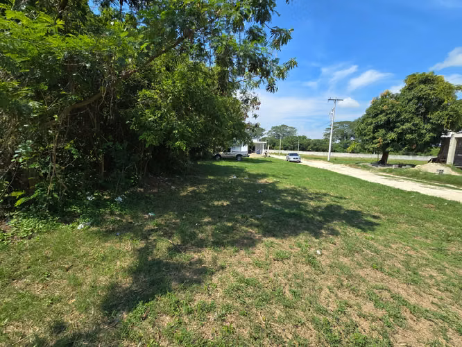  ¡LOTE DE TERRENO EN VENTA – LA CANDELARIA, CHOLOMA!  - Imagen 4