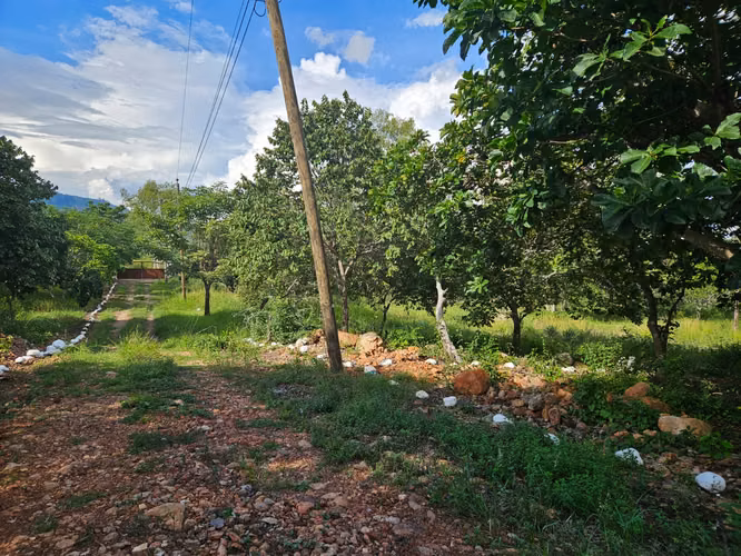 ¡Lotes de terreno en venta en El Zamorano! 