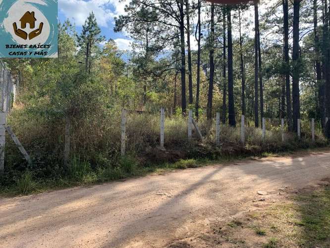 ¡OPORTUNIDAD ÚNICA! TERRENO DE ESQUINA EN VENTA METROS ANTES DE VALLE DE ÁNGELES - Imagen 3