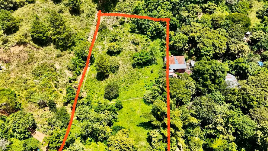 PROPERTY BARGAIN FOR SALE - DANLÍ, PARADISE!