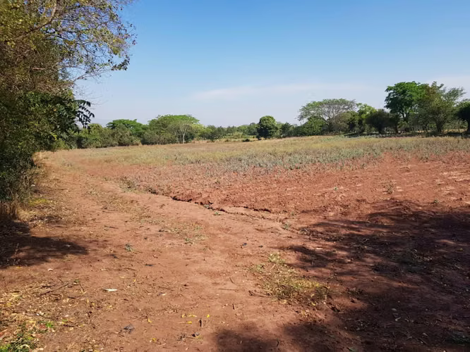 Venta de Terreno en Comayagua - Imagen 4