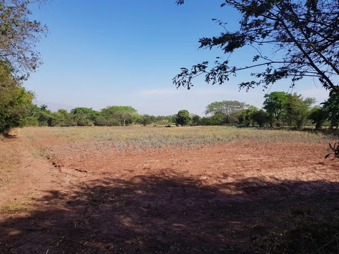 Venta de Terreno en Comayagua - Imagen 5