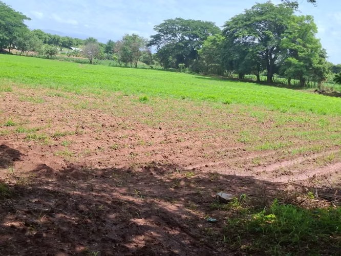 Venta de Terreno en Comayagua - Imagen 3