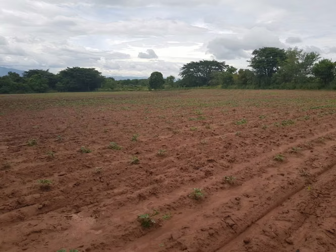 Venta de Terreno en Comayagua - Imagen 8
