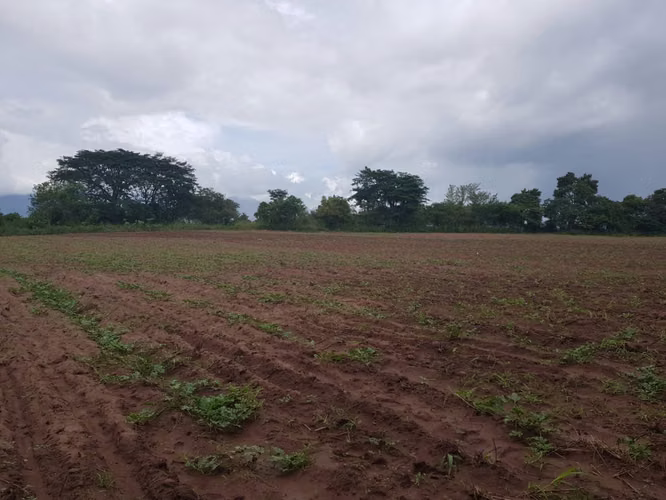 Venta de Terreno en Comayagua - Imagen 6