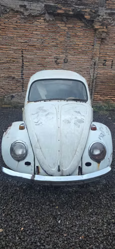 Volkswagen cucarachita beetle