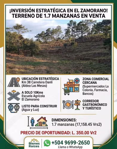 ¡Inversión Estratégica en El Zamorano! Terreno de 1.7 Manzanas por L. 6,000,000.00 - Imagen 3