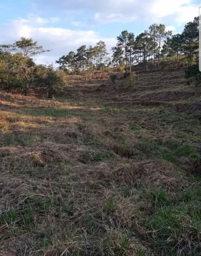 ¡Inversión Estratégica en El Zamorano! Terreno de 1.7 Manzanas por L. 6,000,000.00 - Imagen 5