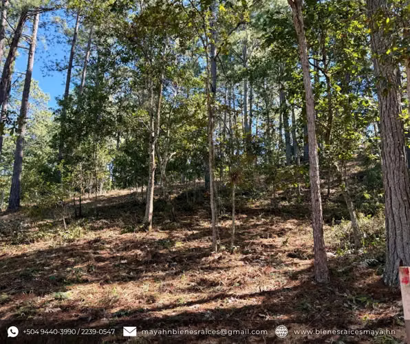 ¡Se vende terreno en Res. La Laguneta, Santa Lucía!  - Imagen 3